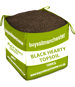 blackpool black hearty
